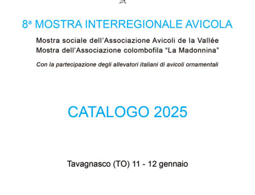 Oltre 40 razze esposte all’ 8ª Mostra Interregionale Avicoli de La Vallée 2025